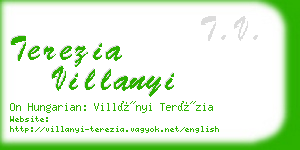 terezia villanyi business card